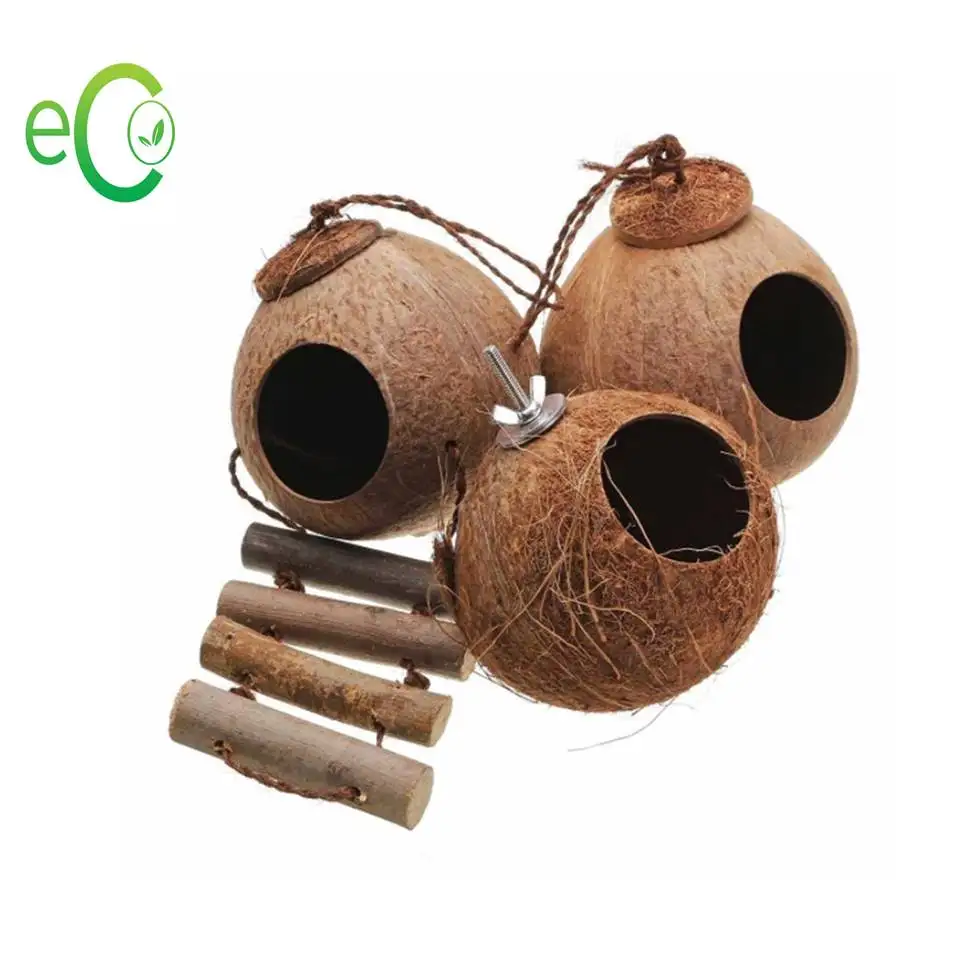 Лидер продаж 2021! Натуральное кокосовое Птичье гнездо ручной работы/домик для птиц из скорлупы кокоса/домик для птиц из кокоса с подвесной лестницей