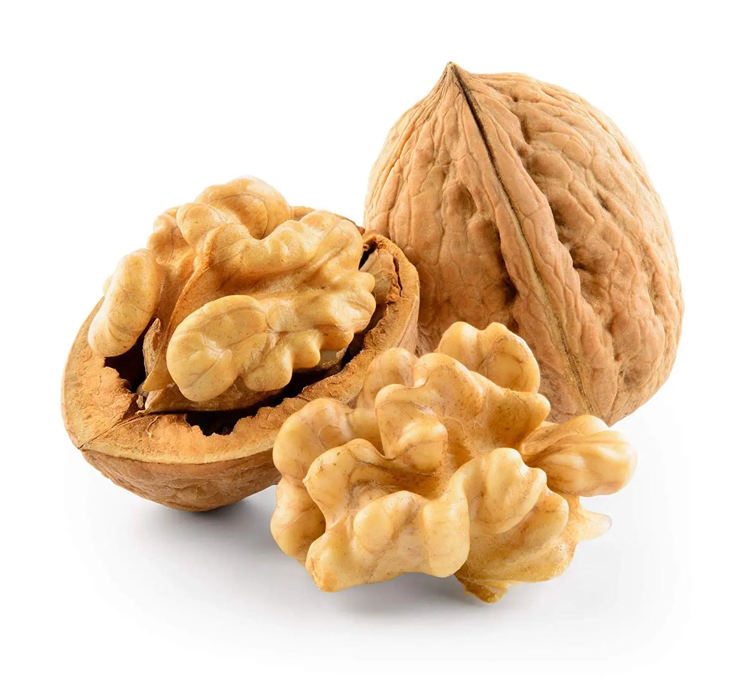 common walnut nuts dried style raw walnuts