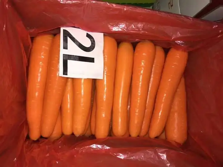 Uba205c9a7e864877a.jpeg