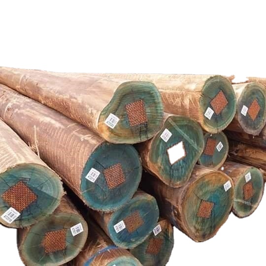Factory direct High quality Oak  Logs