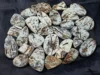 White and golden, Sold by Weight(grams), 6 to 8Pcs per 100g