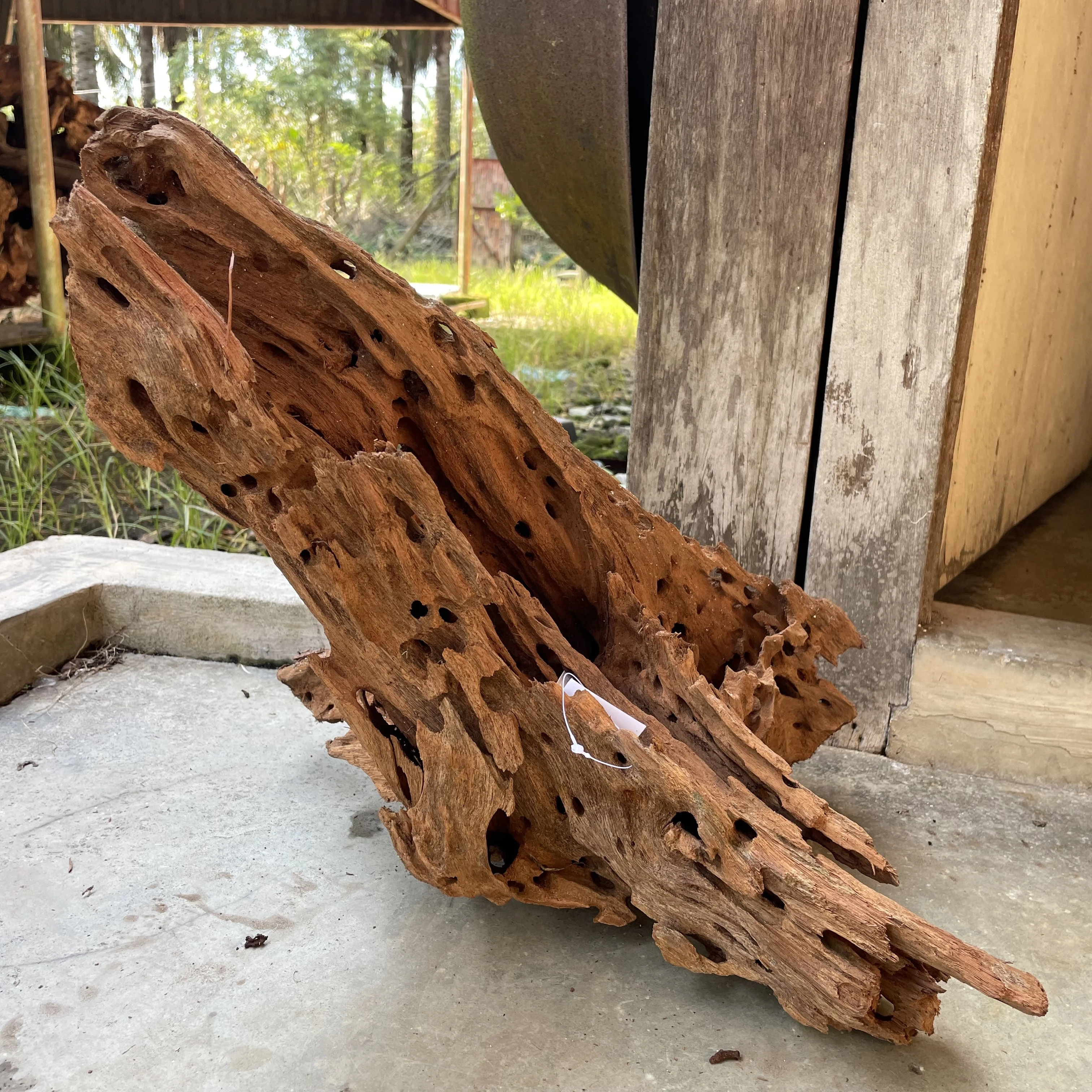 commercio all'ingrosso driftwood grado una qualità diversa dimensione  naturale mangrovia ragno di legno driftwood per la decorazione dell'acquario  di mangrovia