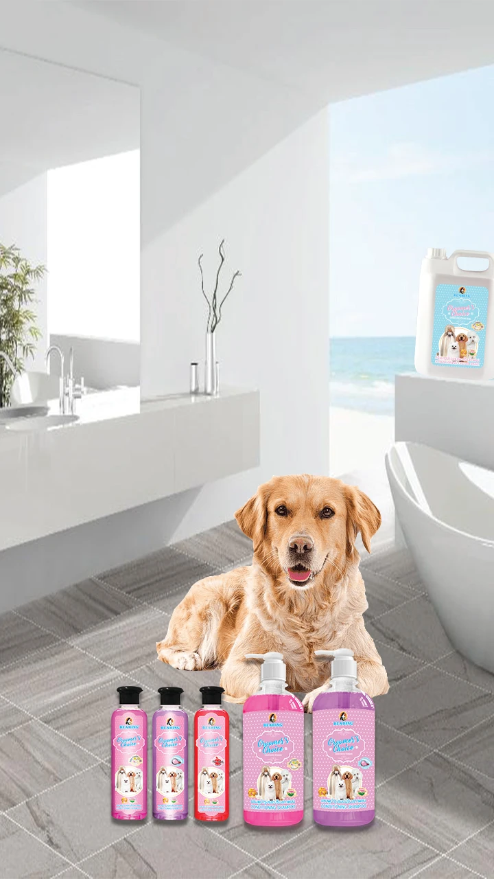 Dist Needed ベアリンググルーマーチョイスドッグシャンプートリートメント入浴ベビーパウダー香り450ml Buy 犬のシャンプー 犬 治療 犬シャンプーと状態 Product On Alibaba Com