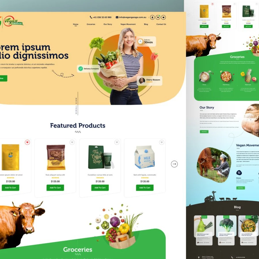 Лучшие интернет-сайты для покупки продуктов, разработка веб-сайта электронной коммерции | Чувствительный дизайн веб-сайта B2B