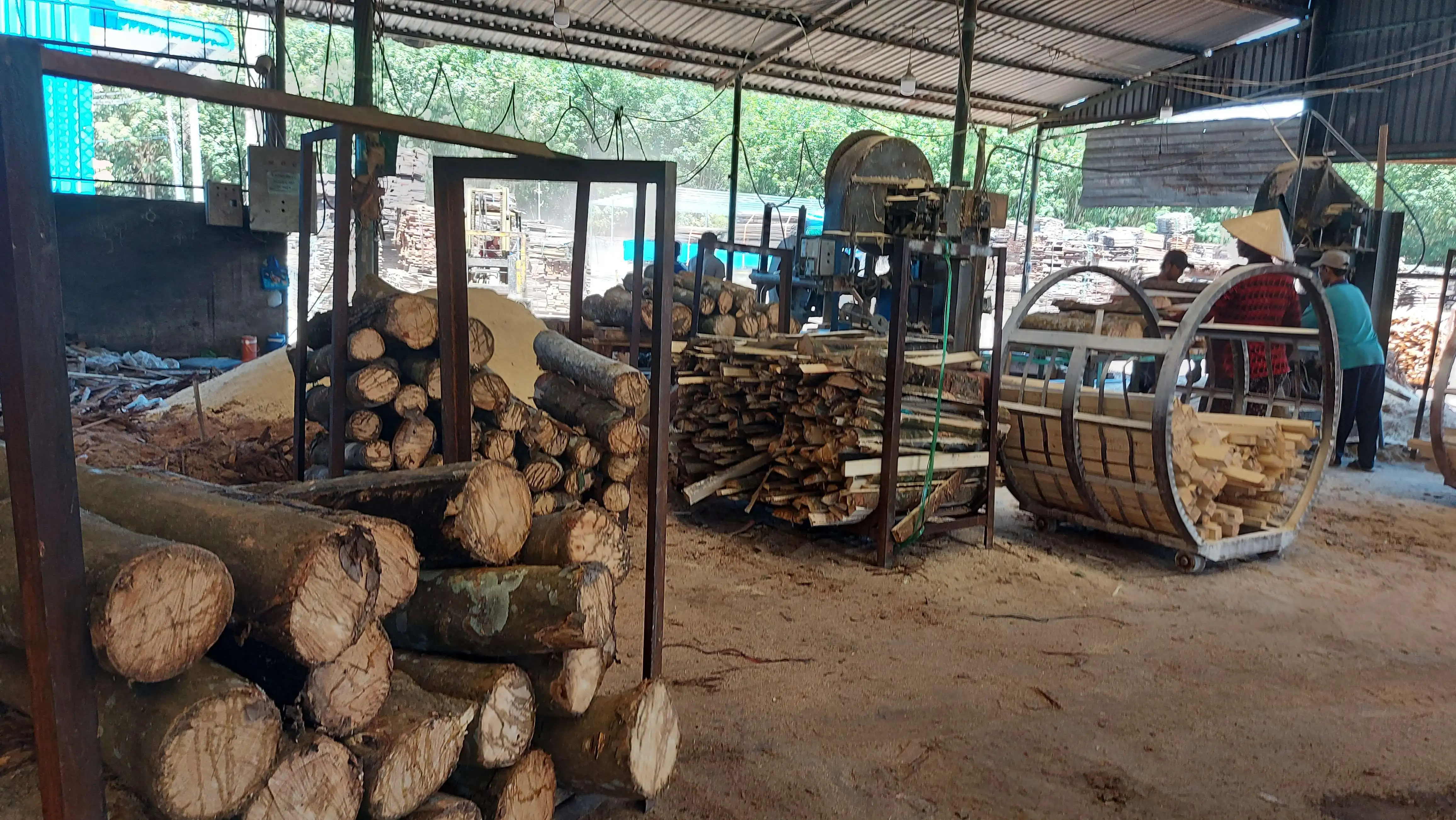 Natural Hard Acacia/rubber/pine Wood Logs/timber/planks With High