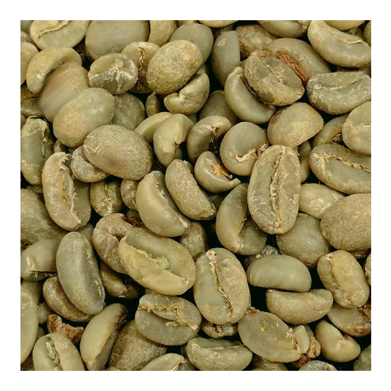 bolsa and bean cafe