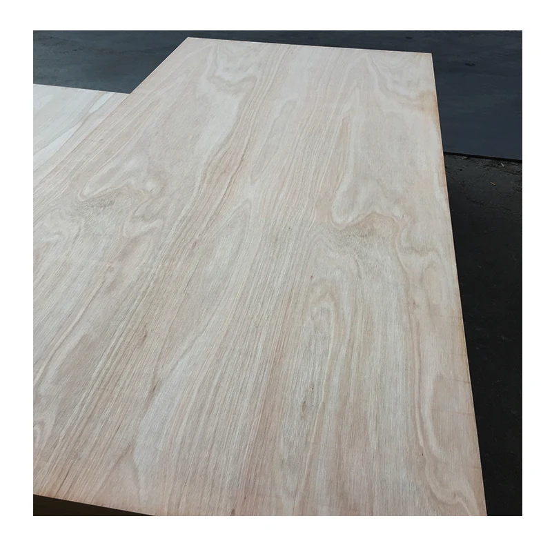 eucalyptus plywood
