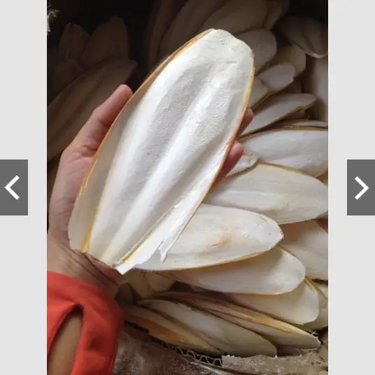 Высококачественная косточка Для морской слепки, конкурентоспособная цена от вьетнамского производителя