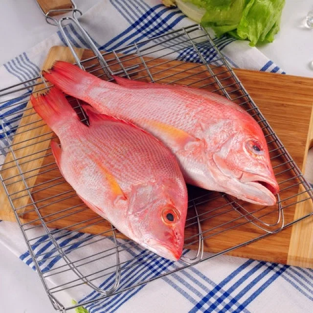2021販売bigeye真空パックレッドスナッパー魚/冷凍レッドスナッパー魚 