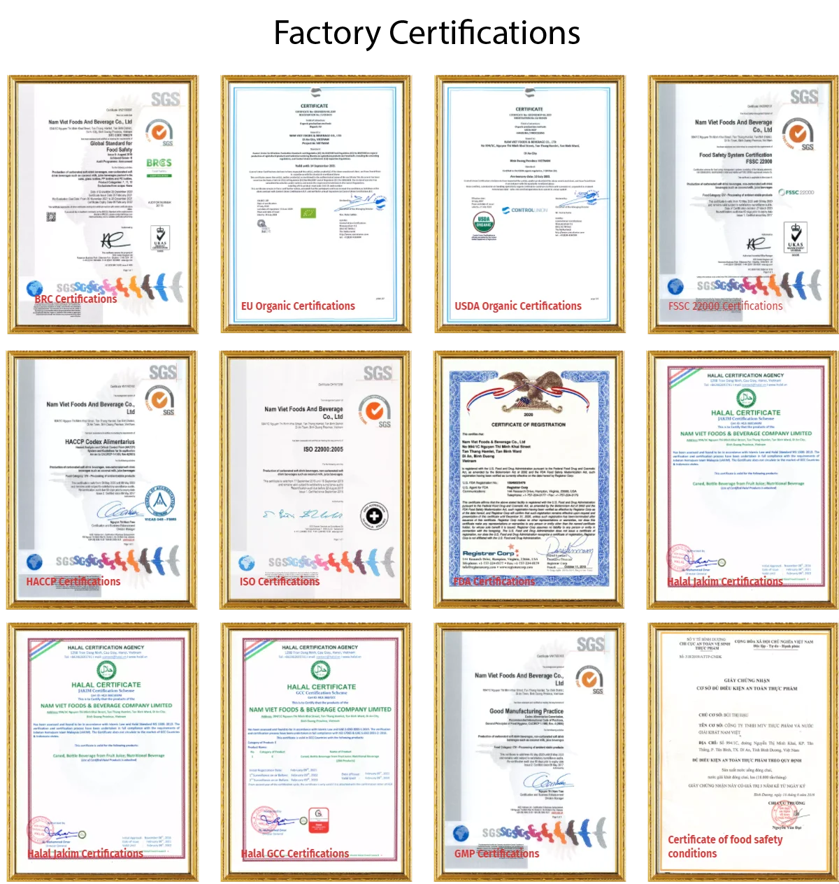Certification-Recovered.png