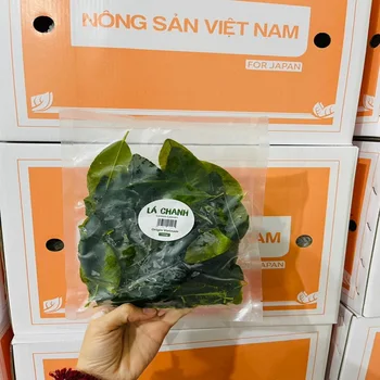 Best Selling TW6 Brand Natural Color Shelf Life 12 Months Single Spices And Herbs Kaffir Lime Leaf From Vietnam