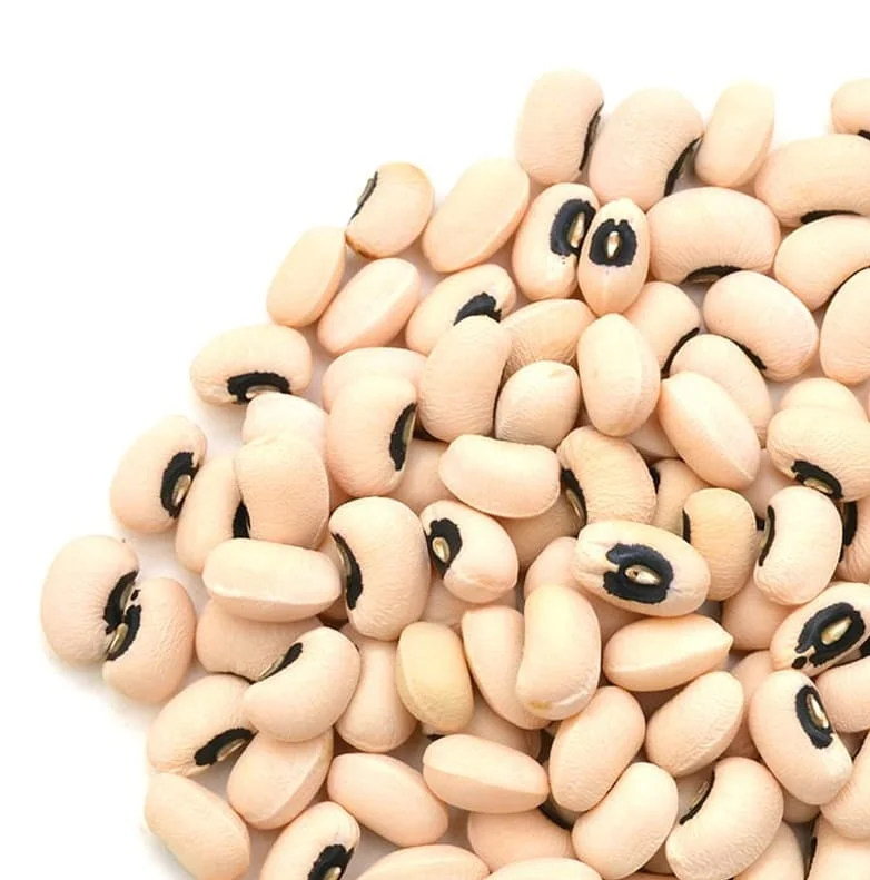 Quality White Black Eyed Cowpea/ Beans