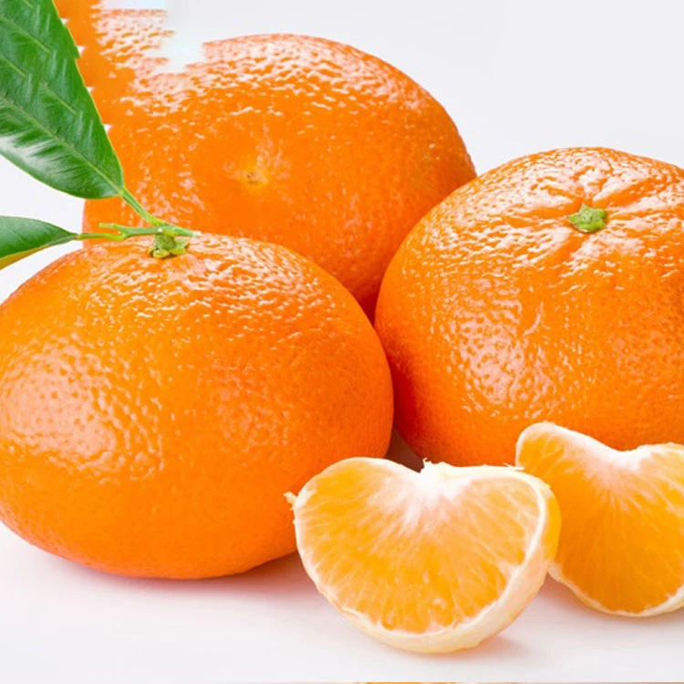 Оптовая продажа, свежие апельсины/свежие фрукты/свежие апельсины, сладкий оранжевый Пакистан