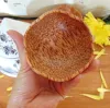 Natural Coconut