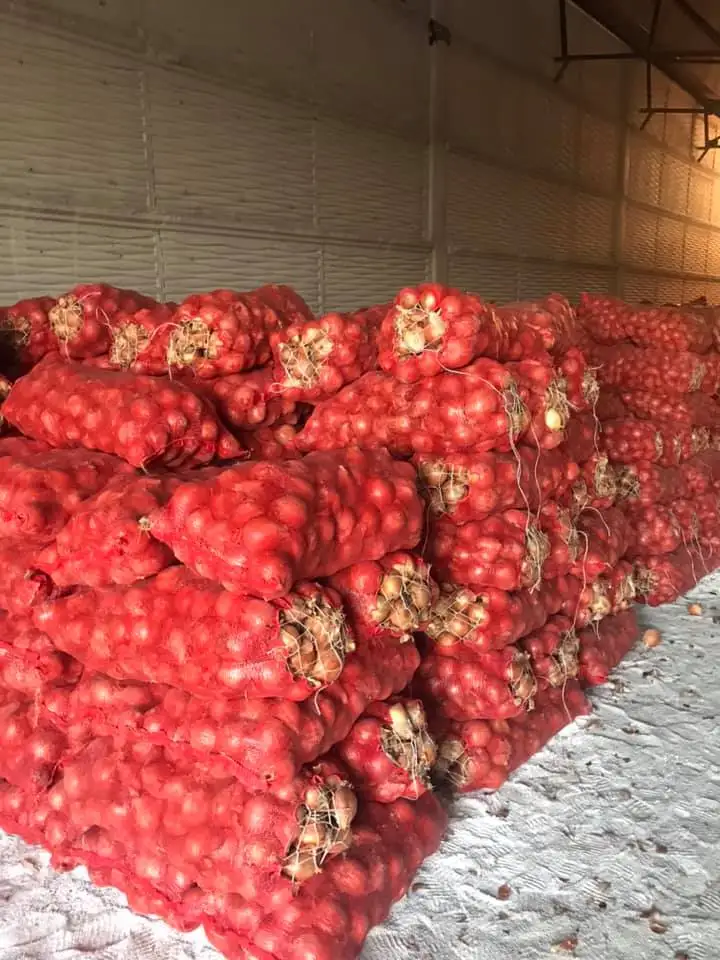 onions.jpg