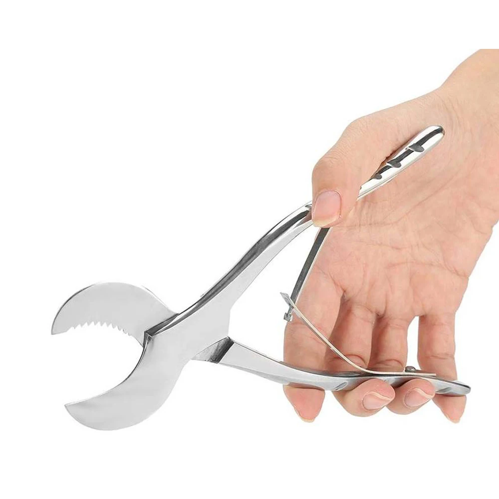 Plaster Cutting Pliers Plaster Scissors Dental Instruments Bone Cutter