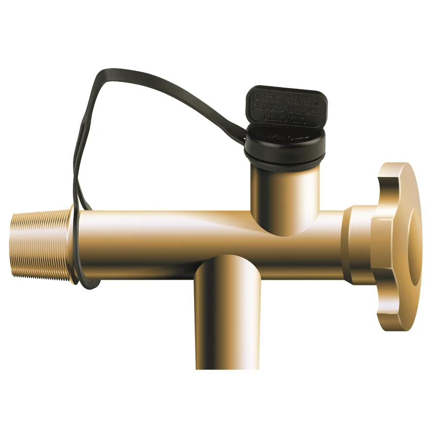 ECAPSEA_P1010345.png