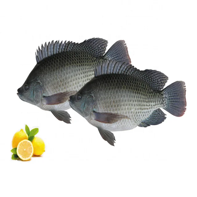 2 (1).png