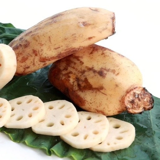ベトナム産 美味しい冷凍・乾燥蓮根 輸出用 - エステル様| Alibaba.com