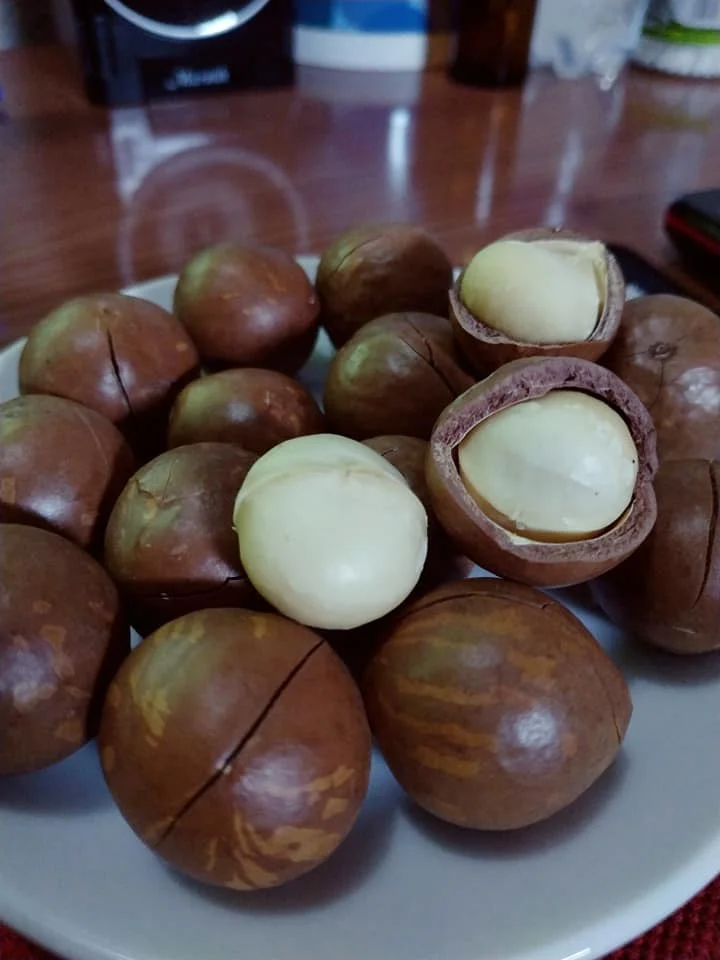 Высококачественные орехи макадамии из Вьетнама, мисс Кэти + 84 896650714