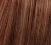 chestnut