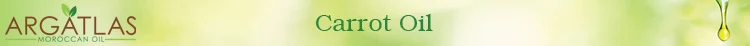 Title.jpg