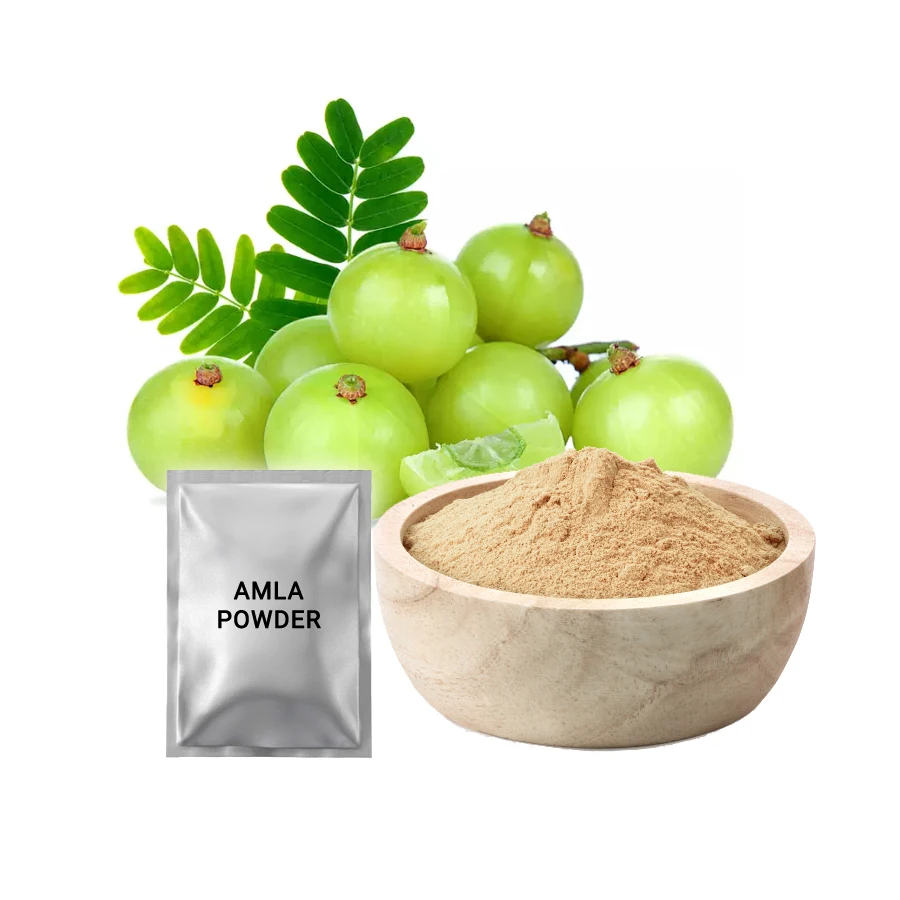 2023 Pure Amla Powder Low Price Indian Gooseberry Fruit for Hair Growth High Quality Organic OEM Manufacturer Best Choice
