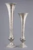 Silver Nickel