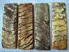 Natural color sheep horn
