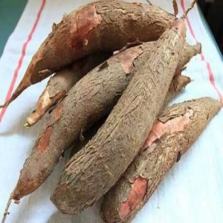 Свежие клубни кассавы/свежие клубни касавы