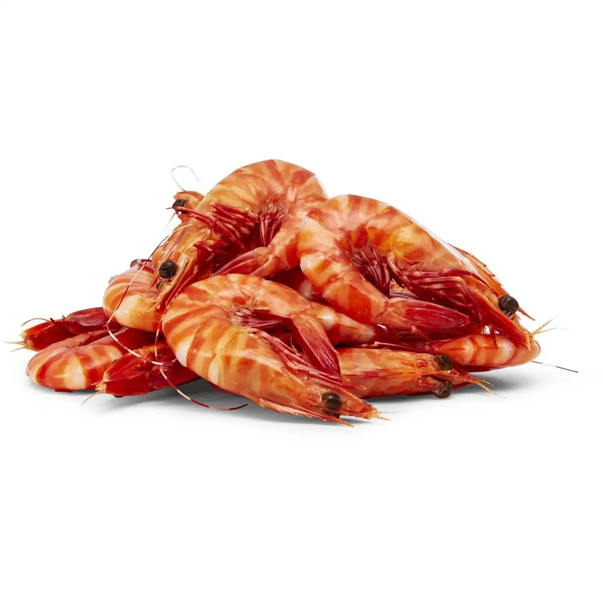frozen big size tiger shrimp for sale