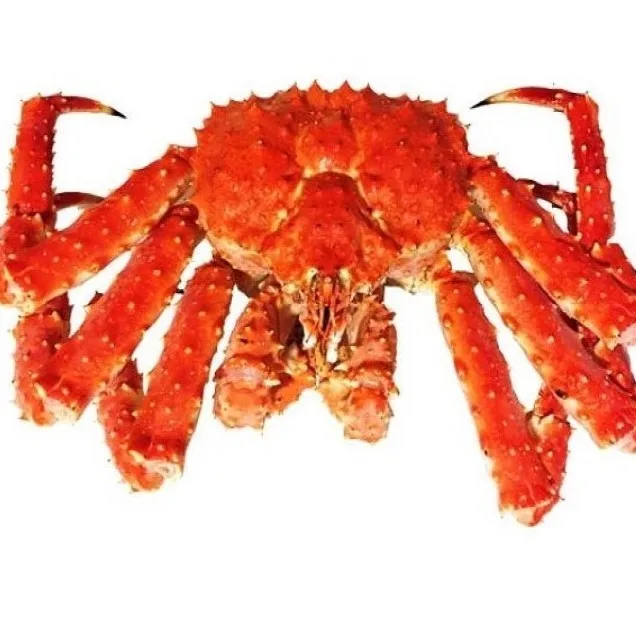 King Crab 2.jpg