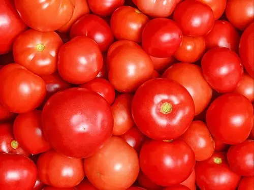 fresh-tomato-500x500.jpg