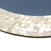 White pearl shell