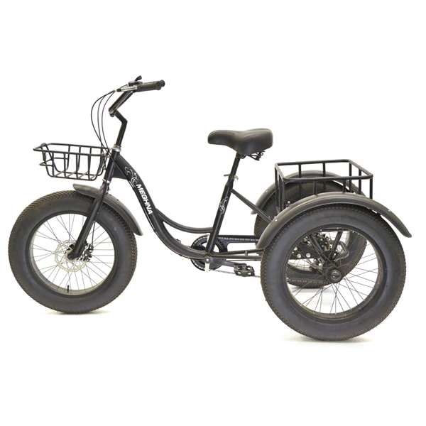 20 inch adult tricycle