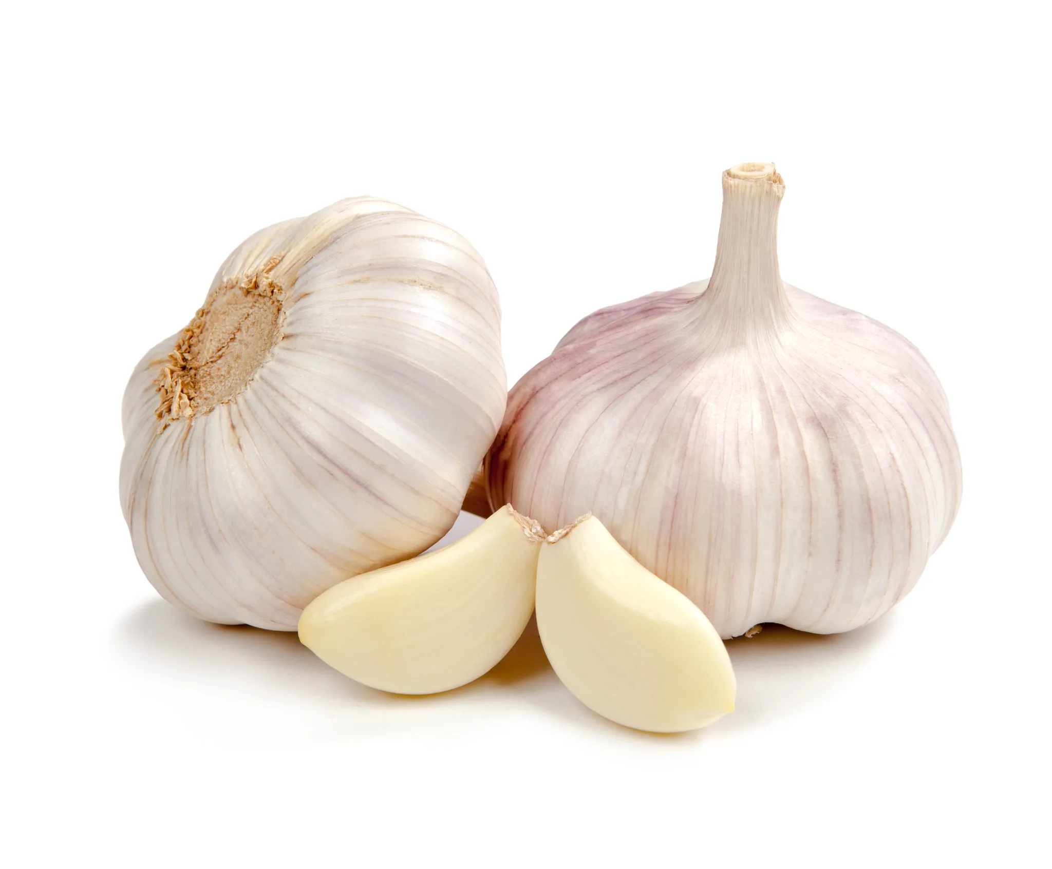 2021 china/chinese best wholesale fresh garlic price 