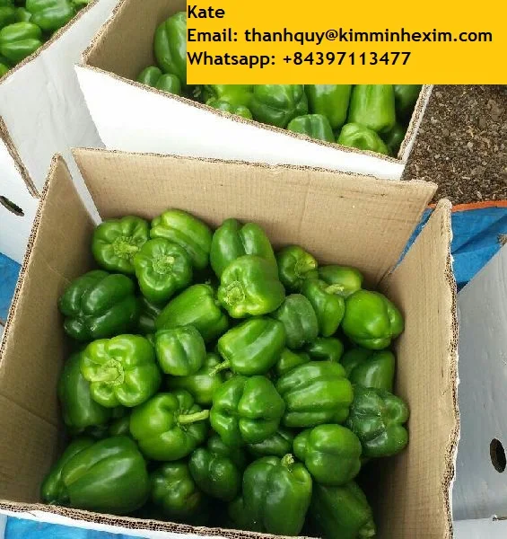 Fresh Bell pepper/ Capsicum from Vietnam - NHP Foods- Ngan Hoa Phat Co., Ltd