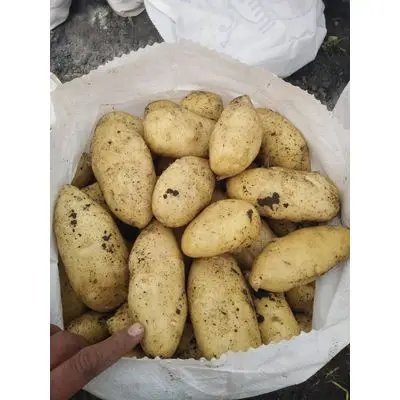 potatoes7.jpg