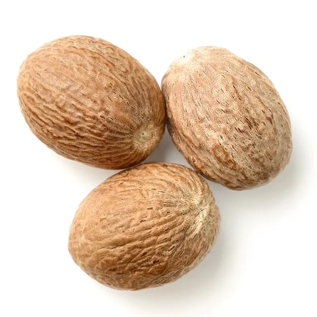 dried betel nut / areca nut supplier