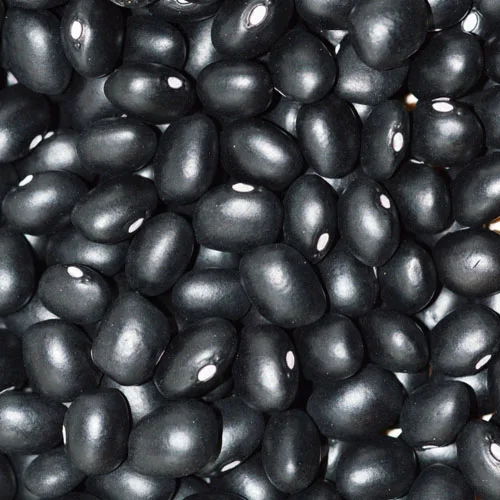 Eye-Beans.jpg