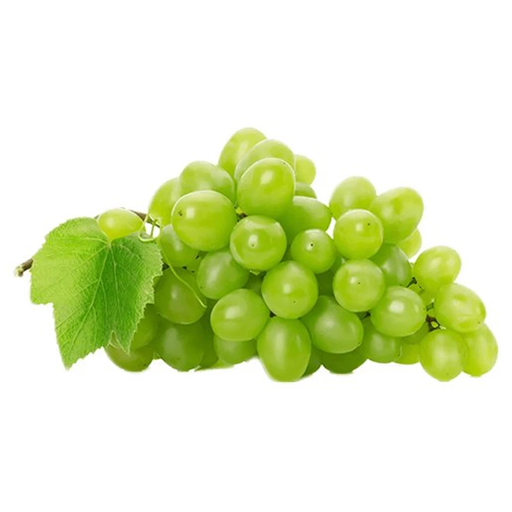 thompson seedless grapes exporters cheap fresh grapes fresh
