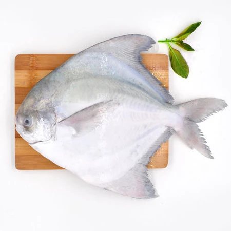 buy pomfret fish