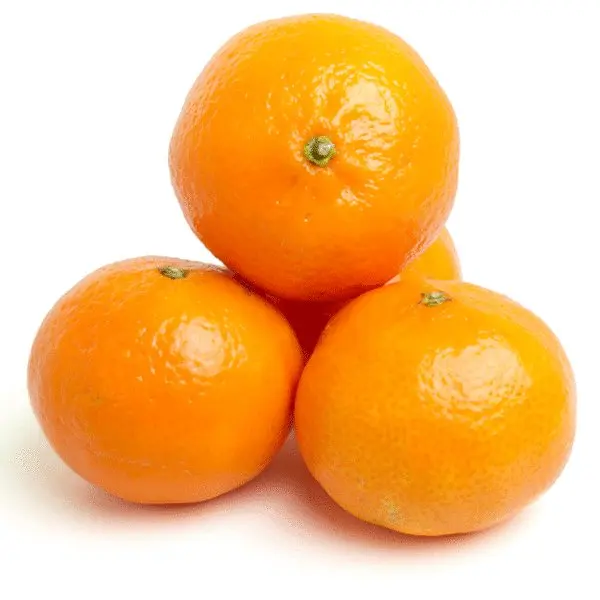 best quality sweet fresh mandarin orange/fresh orange - buy best