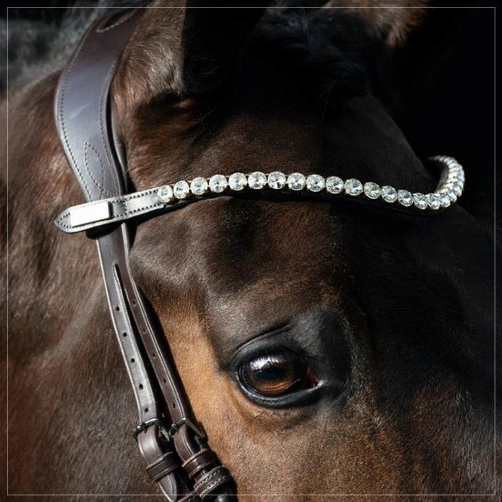Brde cheval anglas STG Crystal Browband / paquet de 5 Peace pour