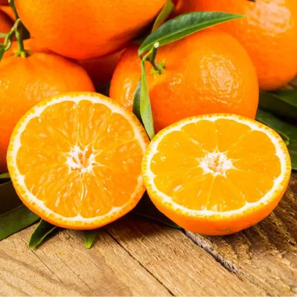 Оранжевый пупок оранжевый Свежий Оранжевый пупок оранжевый из Южной Африки