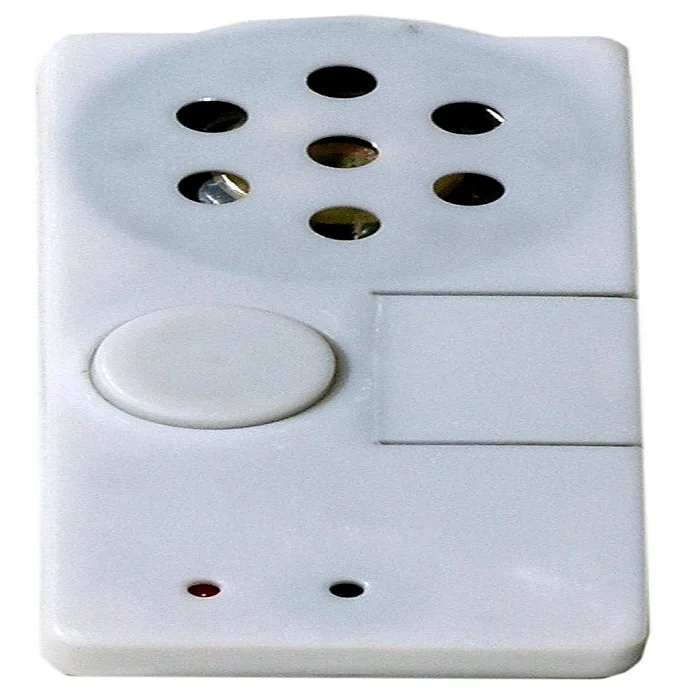 Wholesale Voice Recorder Small Long Time Recording Digital Voice ...