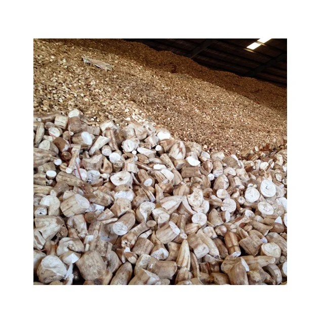SUPPLYING DRY TAPIOCA/CASSAVA SLICE in BULK FROM VIETNAM - Cassava Chips for EU, Japan, USA at Competitive Price