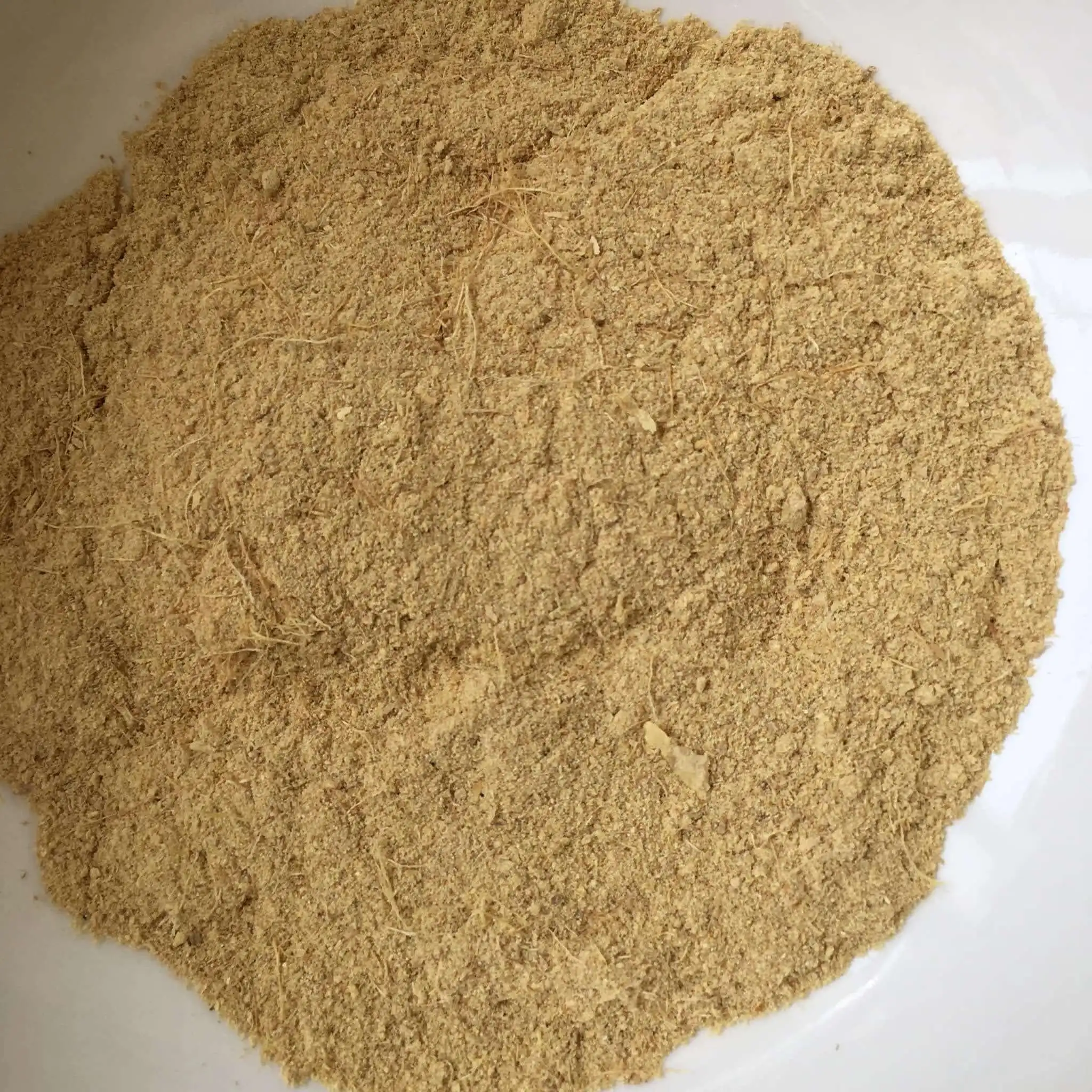 Source Ginger extract powder manufacturer supply good price red