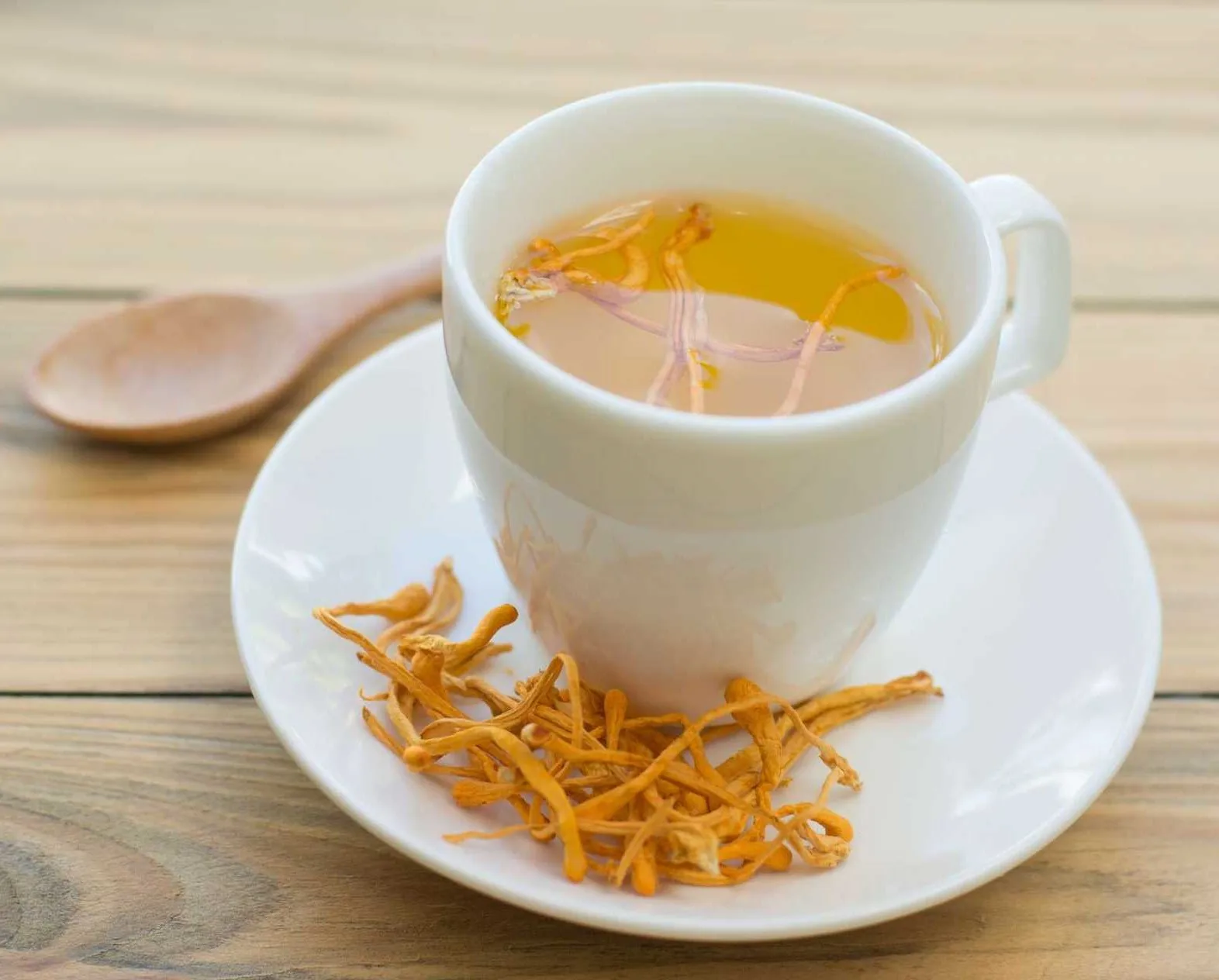 Cordyceps tea.jpg