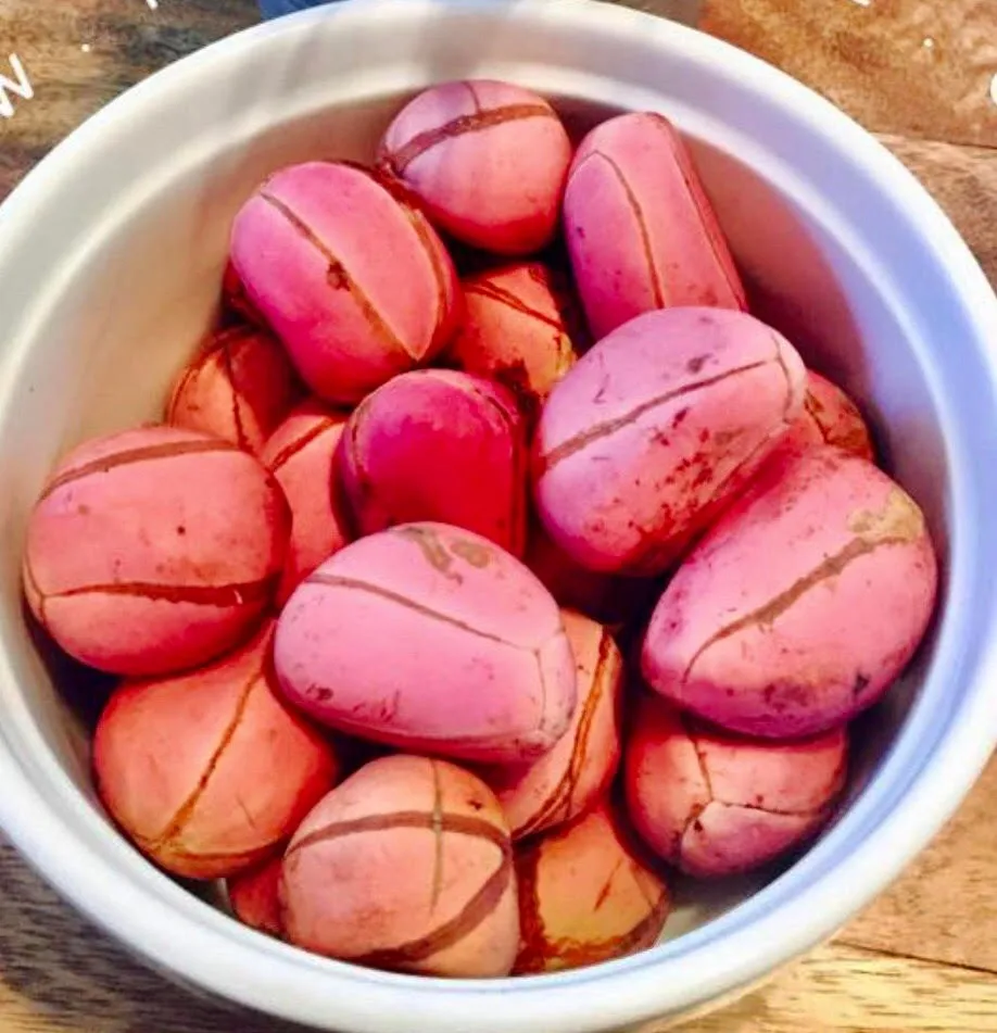 top quality kola nuts for sale - buy bulk bitter kola nut fresh